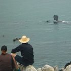 Beachcomber Nature Trail Video